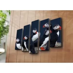 Image of 5NATPAT-34 Multicolor Decorative Canvas Painting (5 Pieces)
