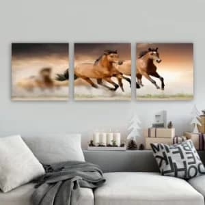 Image of PDR14 Multicolor Decorative Canvas Painting (3 Pieces)