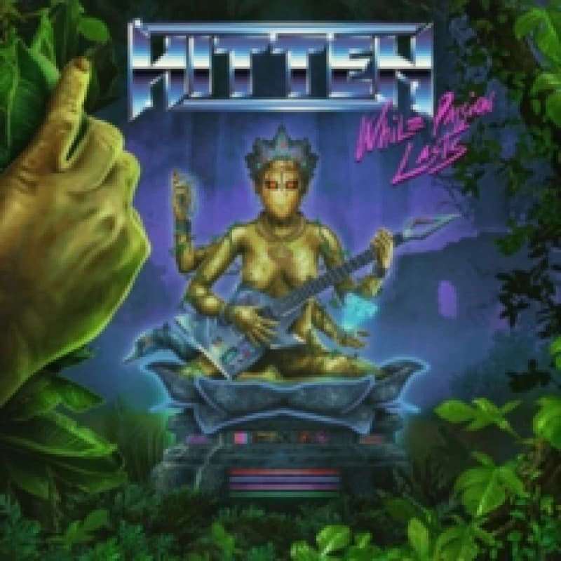 Image of While passion lasts Vinyl