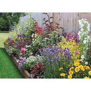 Image of Garden On A Roll Mediterranean Border Pack 10m x 60cm Plants