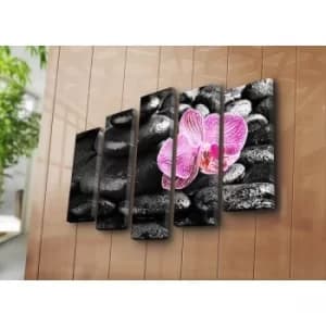 Image of 5PATK-1 Multicolor Decorative Canvas Painting (5 Pieces)