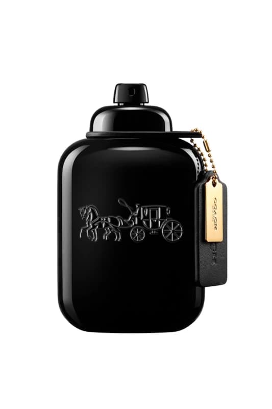 Image of Coach For Men Eau de Parfum 100ml
