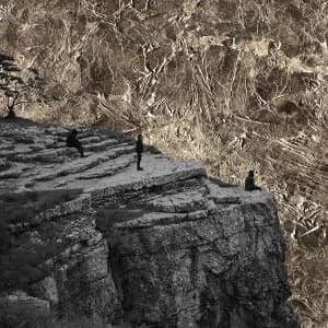 Image of Esben And The Witch - Nowhere White Vinyl