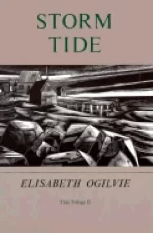Image of storm tide