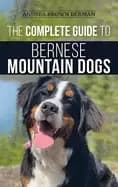Image of complete guide to bernese mountain dogs selecting preparing for training fe