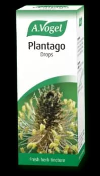 Image of A.Vogel Plantago Drops 50ml