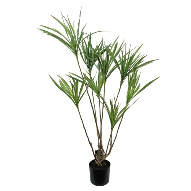 Image of Leaf Design 125cm Artificial Dragon Tree Dracaena Plant (Natural Look)