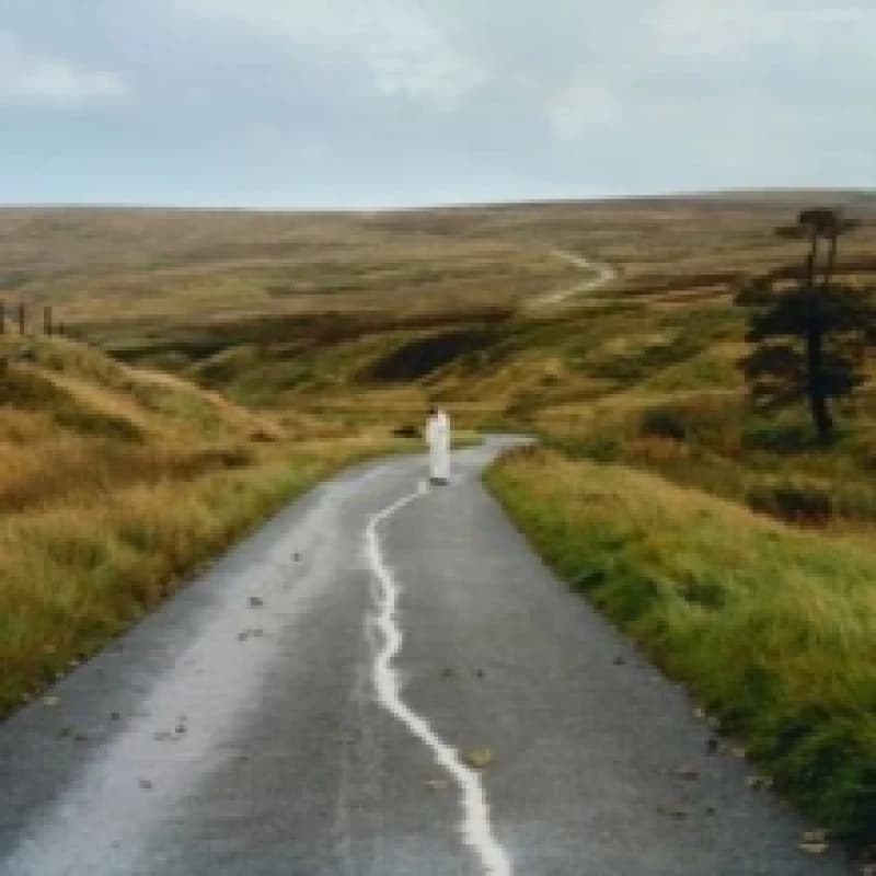 Image of The Loop CD / Album