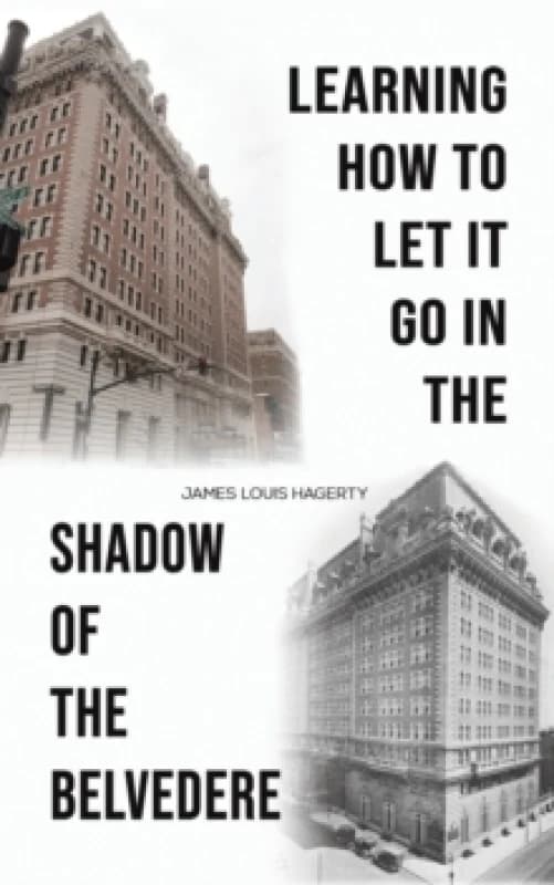 Image of Learning How to Let It Go in the Shadow of the Belvedere Paperback / softback