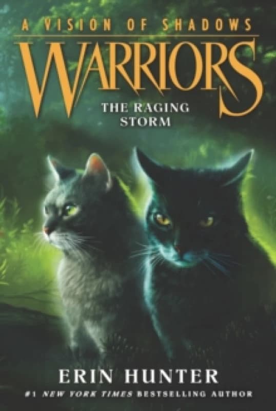 Image of warriors a vision of shadows 6 the raging storm 9780062386595