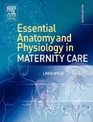 Image of essential anatomy and physiology in maternity care