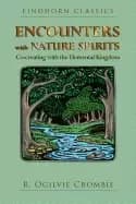 Image of encounters with nature spirits co creating with the elemental kingdom
