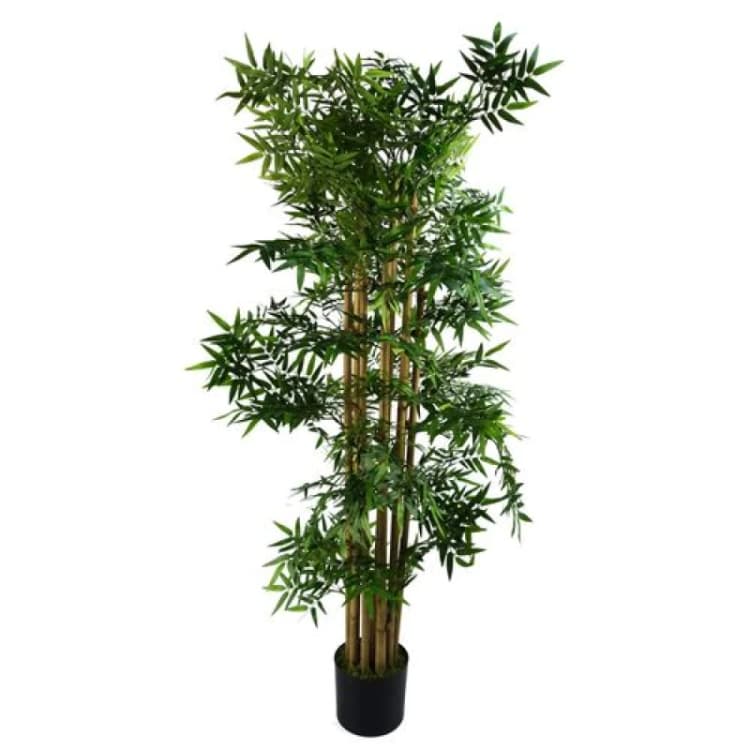 Image of Leaf Artificial Oriental Bamboo Plant 150cm - Realistic plant by Botanik Green