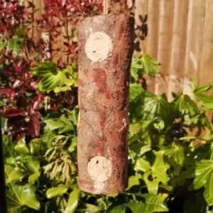 Image of Pack of 3 Tom Chambers Wild Garden Bird Rustic Suet and Seed Filled Hanging Log Feeder with Hanging String