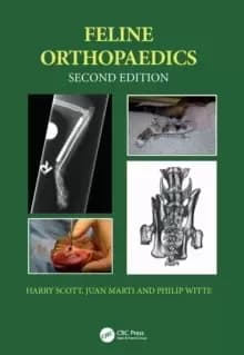 Image of Feline Orthopaedics
