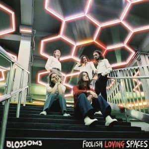Image of Foolish Loving Spaces by Blossoms CD Album