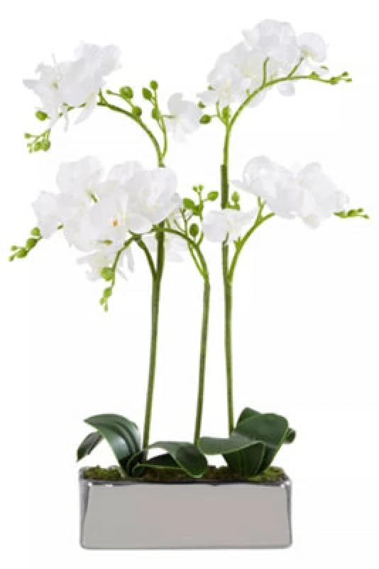 Image of Premier Housewares Fiori White Orchid Plant in Rectangular Pot Silver