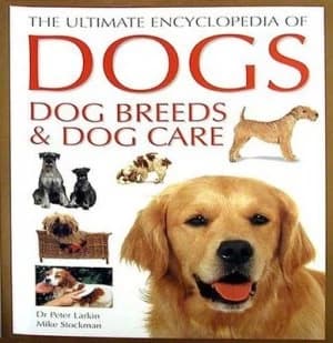 Image of Dogs Paperback