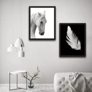 Image of White Feather Horse Set Multicolor Decorative Framed Painting (2 Pieces)