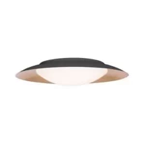 Image of Larissa Lighting - Larissa Galatsi Ceiling Light 20W 3000K Black - Gold Leaf