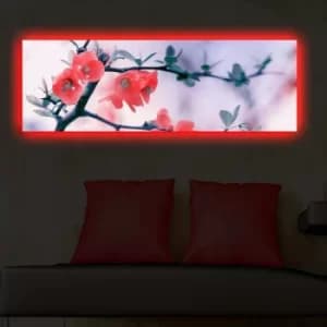 Image of 3090DACT-48 Multicolor Decorative LED Lighted Canvas Painting