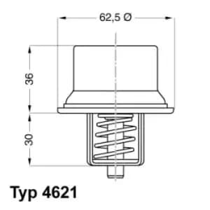 Image of Thermostat (W.H.) 4621.80D by Wahler