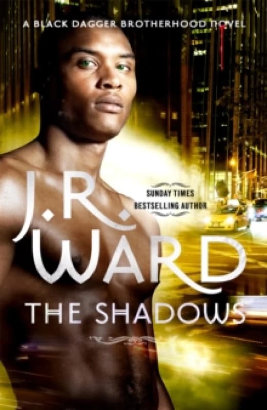 Image of The Shadows : Number 13 in series Paperback / softback