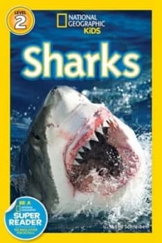 Image of Sharks by Anne Schreiber