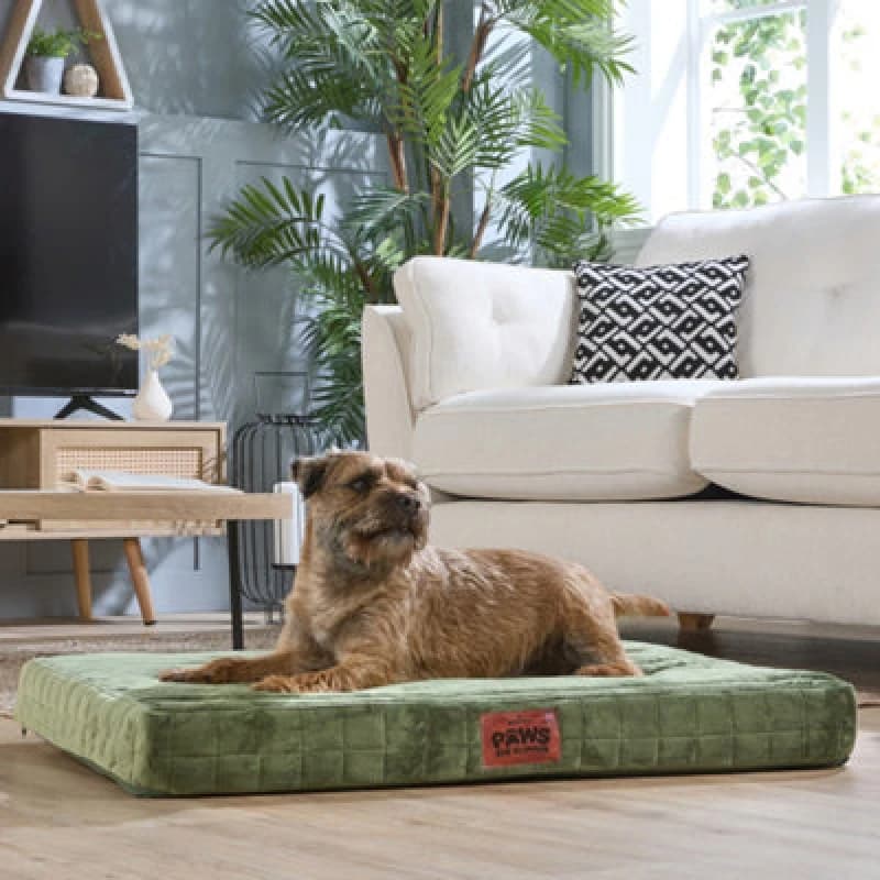 Image of Slumberdown Paws for Slumber Medium Orthopedic Pet Bed Green