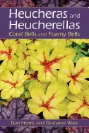 Image of heucheras and heucherellas coral bells and foamy bells