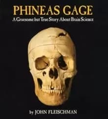 Image of Phineas Gage : A Gruesome but True Story About Brain Science