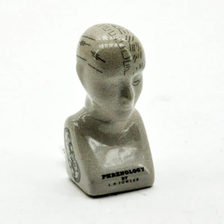 Image of Minster 6" Phrenology Head Ornament - L7 X W8 X H16 Cm