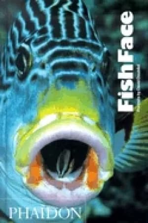 Image of fish face