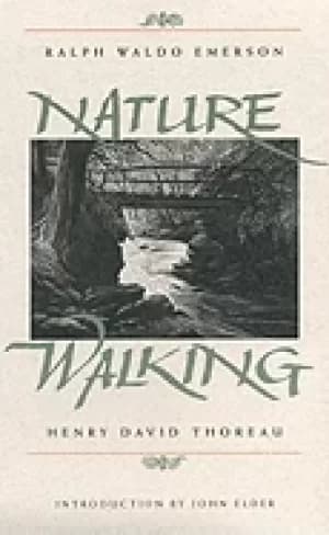 Image of nature and walking