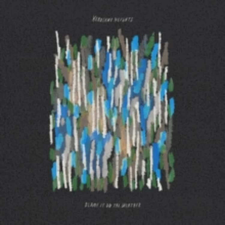 Image of Blame it on the weather Vinyl