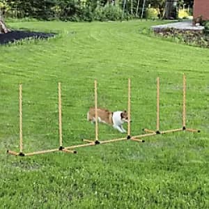 Image of PawHut Pet Agility Training Equipment Orange, White