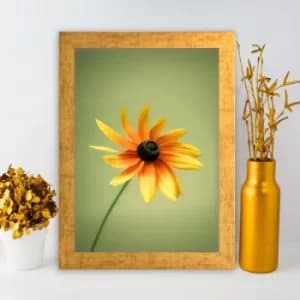Image of AC346430351 Multicolor Decorative Framed MDF Painting