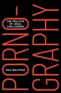 Image of pornography the politics of legal challenges