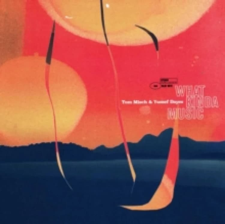 Image of What Kinda Music Vinyl