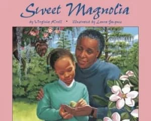 Image of Sweet magnolia by Virginia Kroll