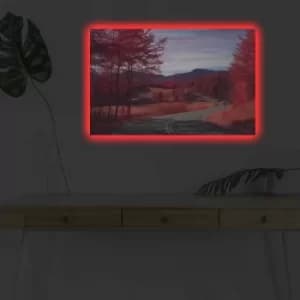 Image of 4570DHDACT-033 Multicolor Decorative LED Lighted Canvas Painting