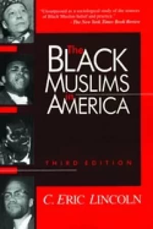 Image of black muslims in america