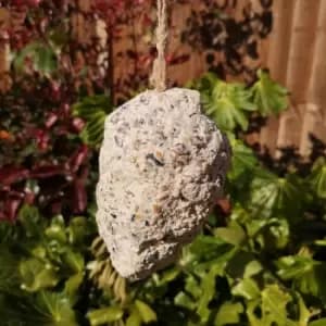 Image of Pack of 3 Tom Chambers Wild Garden Bird Suet Pinecone Containing Suet and Seeds with Hanging String