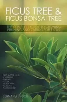 Image of Ficus tree and ficus bonsai tree by Bernard Brook