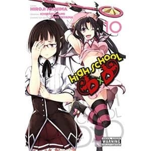 Image of High School DxD, Vol. 10