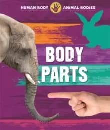 Image of Body Parts