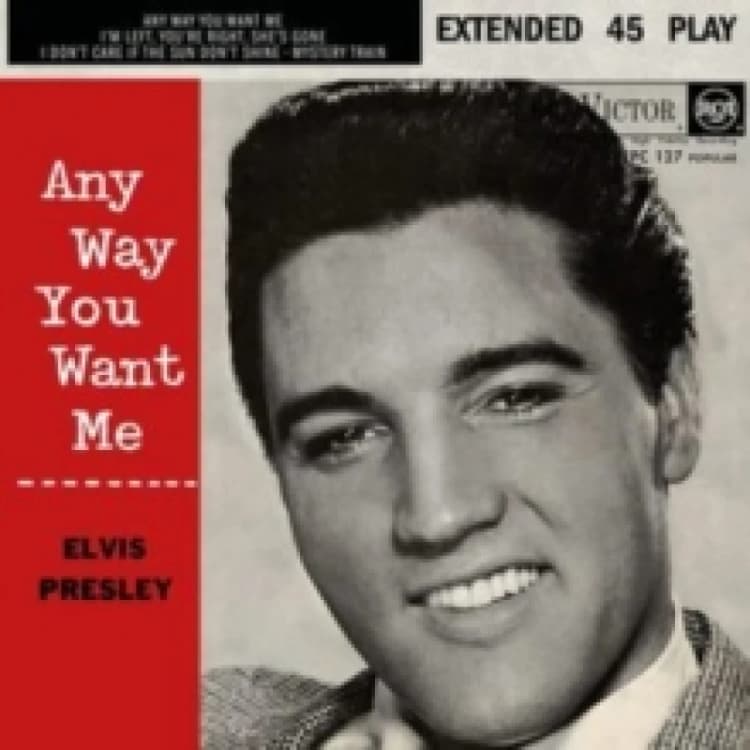 Image of Any way you want me Vinyl