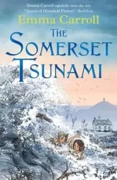 Image of The Somerset tsunami by Emma Carroll