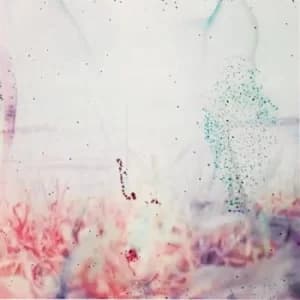 Image of Pluralone ‎- To Be One With You Vinyl