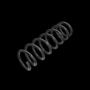 Image of LESJOFORS Springs VOLVO 4095834 30666205,30683177,30714867 Coil Springs,Suspension Springs,Coil Spring
